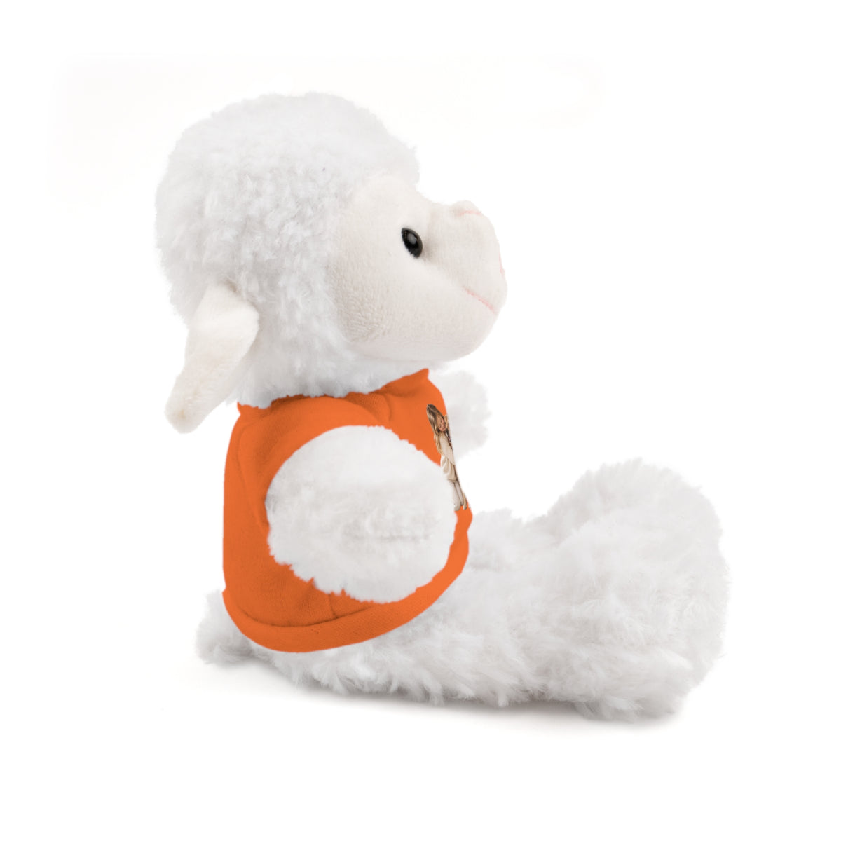Peluche con Camiseta Personalizada — Foto de tu Mascota