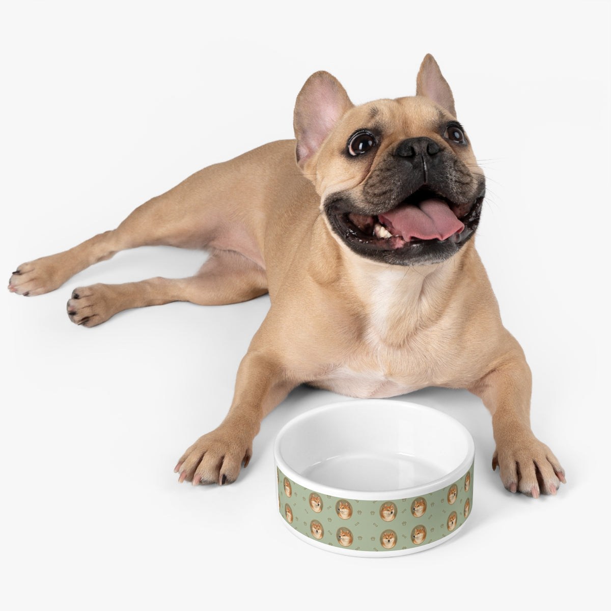 Comedero Personalizado para tu Mascota — Huellas y Huesitos