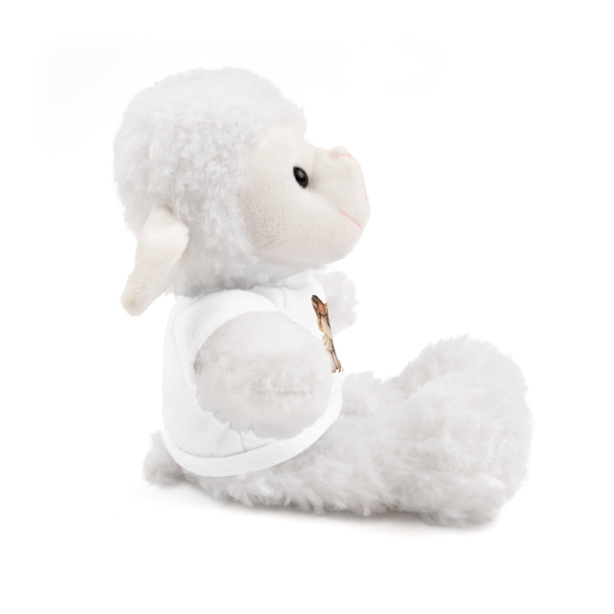 Peluche con Camiseta Personalizada — Foto de tu Mascota