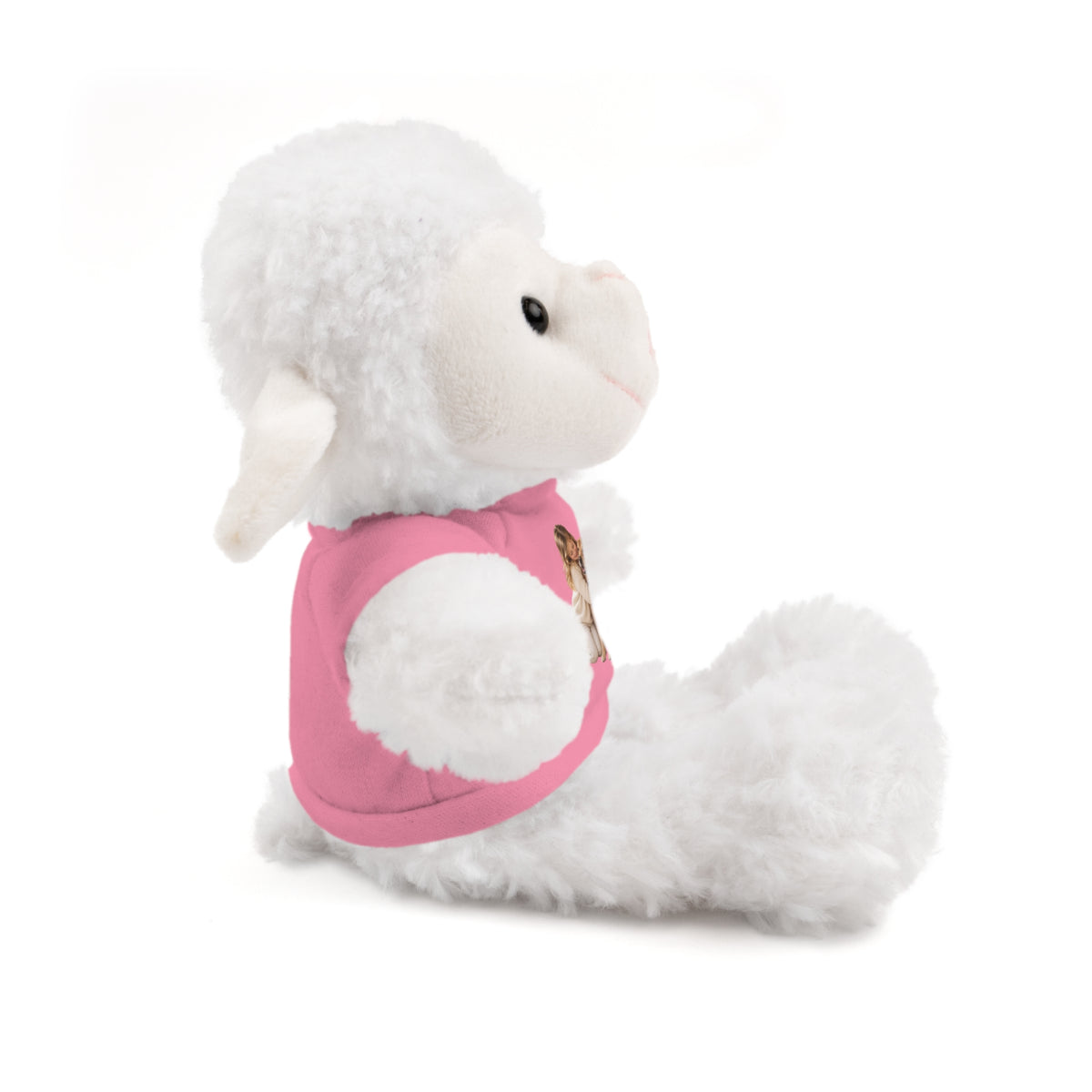 Peluche con Camiseta Personalizada — Foto de tu Mascota