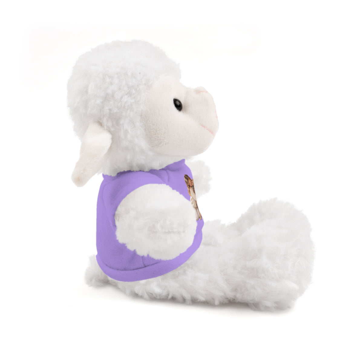 Peluche con Camiseta Personalizada — Foto de tu Mascota
