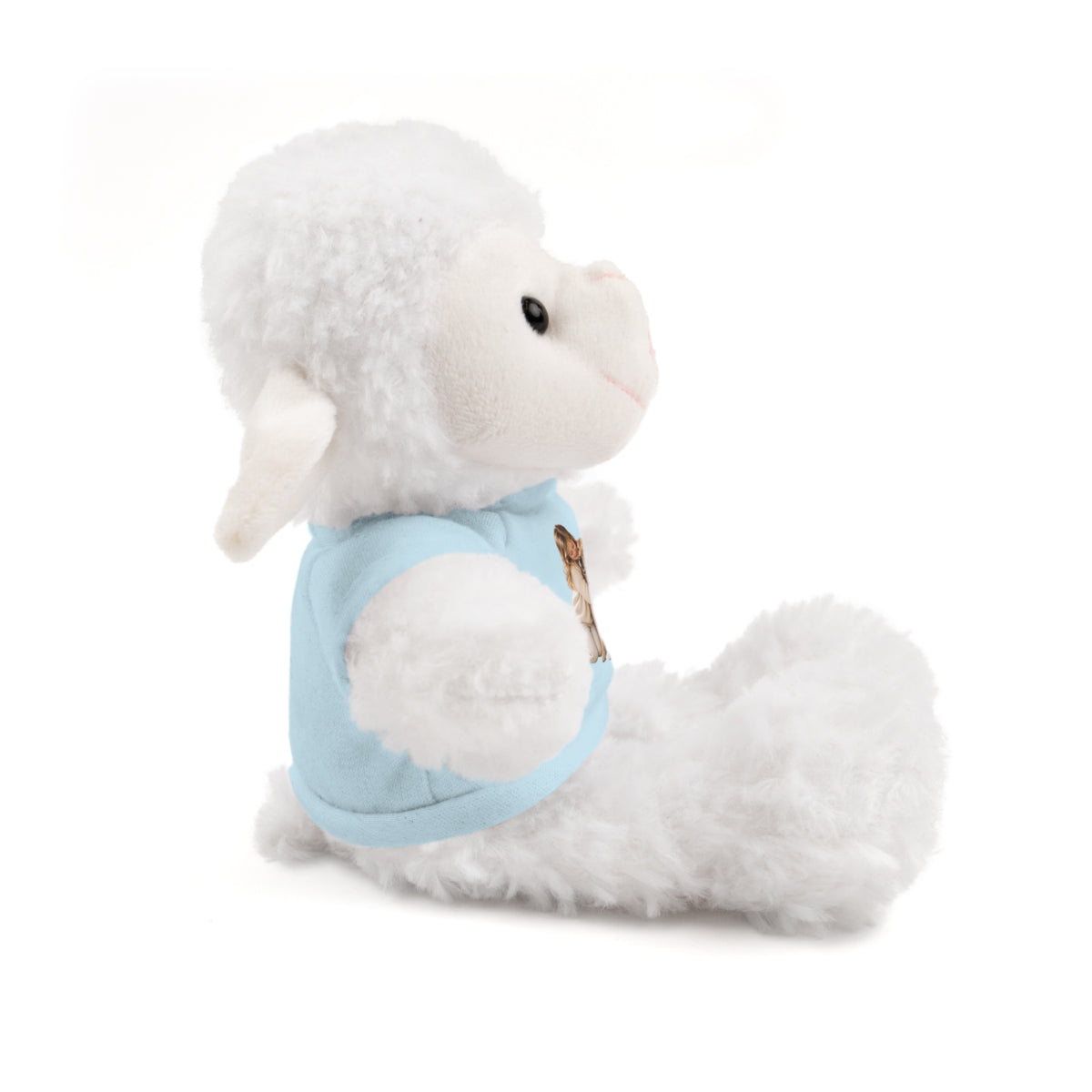 Peluche con Camiseta Personalizada — Foto de tu Mascota
