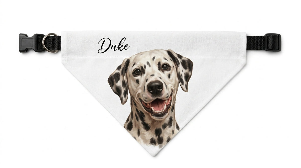 Panuelo personalizado para mascota, producto con nombre Duke